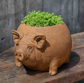 Campania Roly Poly Pig Planter